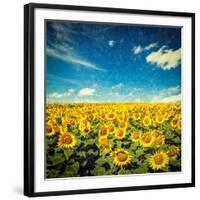 Vintage Retro Hipster Style Image of Idyllic Scenic Landscape - Sunflower Field and Blue Sky with G-f9photos-Framed Photographic Print