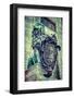 Vintage Retro Hipster Style Travel Image of Bavarian Lion Statue at Munich Alte Residenz Palace in-f9photos-Framed Photographic Print