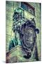 Vintage Retro Hipster Style Travel Image of Bavarian Lion Statue at Munich Alte Residenz Palace in-f9photos-Mounted Photographic Print