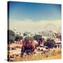 Vintage Retro Hipster Style Travel Image of Camels at Pushkar Mela (Pushkar Camel Fair). Pushkar, R-f9photos-Stretched Canvas