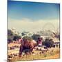 Vintage Retro Hipster Style Travel Image of Camels at Pushkar Mela (Pushkar Camel Fair). Pushkar, R-f9photos-Mounted Photographic Print