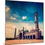 Vintage Retro Hipster Style Travel Image of Jama Masjid - Largest Muslim Mosque in India with Grung-f9photos-Mounted Photographic Print