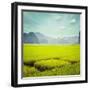 Vintage Retro Hipster Style Travel Image of Rice Field. Tam Coc, Vietnam-f9photos-Framed Photographic Print