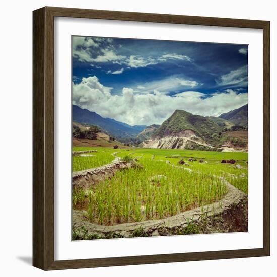 Vintage Retro Hipster Style Travel Image of Rice Field Terraces (Rice Paddy). near Cat Cat Village,-f9photos-Framed Photographic Print