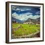 Vintage Retro Hipster Style Travel Image of Rice Field Terraces (Rice Paddy). near Cat Cat Village,-f9photos-Framed Photographic Print