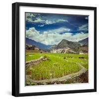 Vintage Retro Hipster Style Travel Image of Rice Field Terraces (Rice Paddy). near Cat Cat Village,-f9photos-Framed Photographic Print