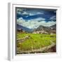 Vintage Retro Hipster Style Travel Image of Rice Field Terraces (Rice Paddy). near Cat Cat Village,-f9photos-Framed Photographic Print