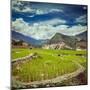 Vintage Retro Hipster Style Travel Image of Rice Field Terraces (Rice Paddy). near Cat Cat Village,-f9photos-Mounted Photographic Print