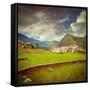 Vintage Retro Hipster Style Travel Image of Rice Field Terraces (Rice Paddy) with Grunge Texture Ov-f9photos-Framed Stretched Canvas