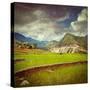 Vintage Retro Hipster Style Travel Image of Rice Field Terraces (Rice Paddy) with Grunge Texture Ov-f9photos-Stretched Canvas