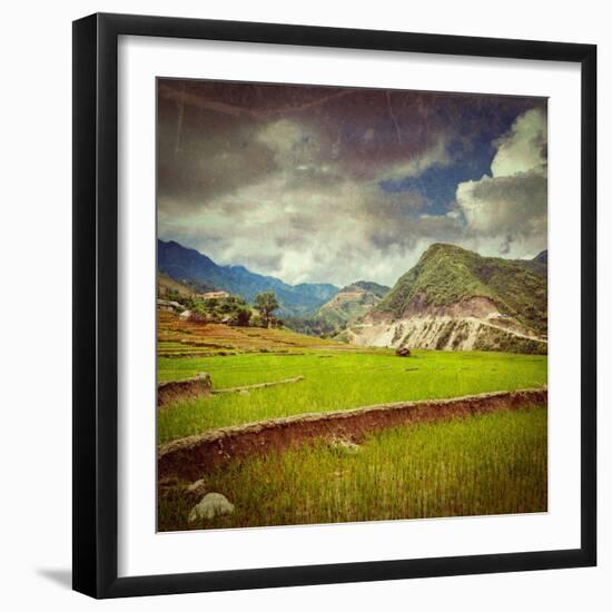 Vintage Retro Hipster Style Travel Image of Rice Field Terraces (Rice Paddy) with Grunge Texture Ov-f9photos-Framed Photographic Print