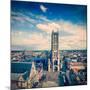 Vintage Retro Hipster Style Travel Image of Saint Bavo Cathedral (Sint-Baafskathedraal) and Sint-Ba-f9photos-Mounted Photographic Print