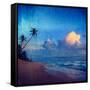 Vintage Retro Hipster Style Travel Image of Sunset on Tropical Beach. Sri Lanka with Grunge Texture-f9photos-Framed Stretched Canvas