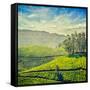 Vintage Retro Hipster Style Travel Image of Tea Plantations with Grunge Texture Overlaid. Munnar, K-f9photos-Framed Stretched Canvas