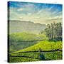 Vintage Retro Hipster Style Travel Image of Tea Plantations with Grunge Texture Overlaid. Munnar, K-f9photos-Stretched Canvas