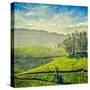 Vintage Retro Hipster Style Travel Image of Tea Plantations with Grunge Texture Overlaid. Munnar, K-f9photos-Stretched Canvas