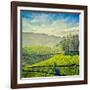 Vintage Retro Hipster Style Travel Image of Tea Plantations with Grunge Texture Overlaid. Munnar, K-f9photos-Framed Photographic Print