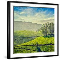 Vintage Retro Hipster Style Travel Image of Tea Plantations with Grunge Texture Overlaid. Munnar, K-f9photos-Framed Photographic Print