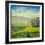 Vintage Retro Hipster Style Travel Image of Tea Plantations with Grunge Texture Overlaid. Munnar, K-f9photos-Framed Photographic Print