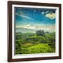 Vintage Retro Hipster Style Travel Image of Tea Plantations with Grunge Texture Overlaid. Munnar, K-f9photos-Framed Photographic Print