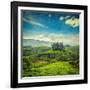 Vintage Retro Hipster Style Travel Image of Tea Plantations with Grunge Texture Overlaid. Munnar, K-f9photos-Framed Photographic Print