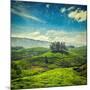 Vintage Retro Hipster Style Travel Image of Tea Plantations with Grunge Texture Overlaid. Munnar, K-f9photos-Mounted Photographic Print