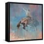 Vintage Rodeo-Peter Hawkins-Framed Stretched Canvas