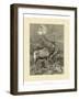 Vintage Roe Deer II-Specht Friedrich-Framed Art Print