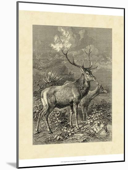 Vintage Roe Deer II-Specht Friedrich-Mounted Art Print