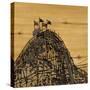 Vintage Roller Coaster-Liz Jardine-Stretched Canvas