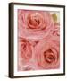 Vintage Romance I-Collezione Botanica-Framed Giclee Print