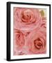 Vintage Romance I-Collezione Botanica-Framed Giclee Print