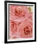 Vintage Romance I-Collezione Botanica-Framed Giclee Print