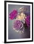 Vintage Rosa-Assaf Frank-Framed Giclee Print