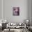 Vintage Rosa-Assaf Frank-Giclee Print displayed on a wall
