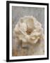 Vintage Rose 1-Jai Johnson-Framed Giclee Print