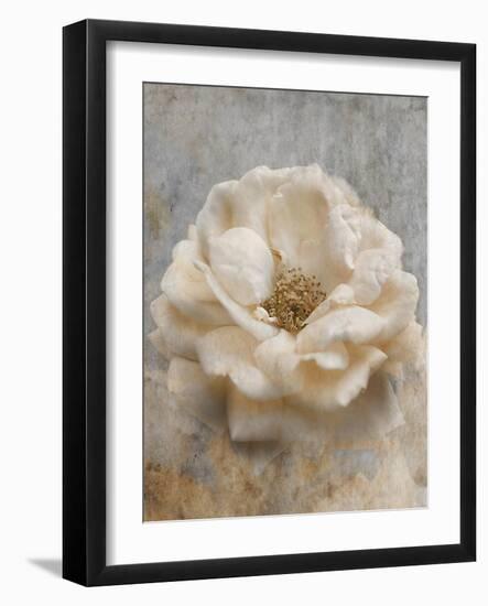 Vintage Rose 1-Jai Johnson-Framed Giclee Print