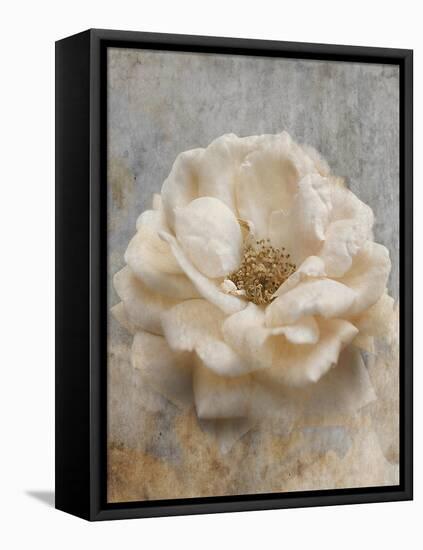 Vintage Rose 1-Jai Johnson-Framed Stretched Canvas