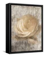 Vintage Rose 3-Jai Johnson-Framed Stretched Canvas