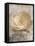 Vintage Rose 3-Jai Johnson-Framed Stretched Canvas