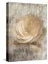 Vintage Rose 3-Jai Johnson-Stretched Canvas
