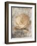 Vintage Rose 3-Jai Johnson-Framed Giclee Print