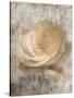 Vintage Rose 3-Jai Johnson-Stretched Canvas