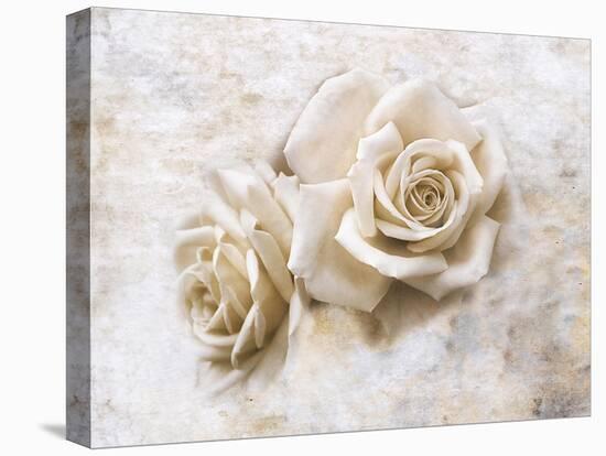 Vintage Rose 4-Jai Johnson-Stretched Canvas