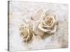 Vintage Rose 4-Jai Johnson-Stretched Canvas