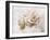 Vintage Rose 4-Jai Johnson-Framed Giclee Print