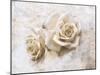 Vintage Rose 4-Jai Johnson-Mounted Giclee Print