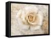 Vintage Rose 5-Jai Johnson-Framed Stretched Canvas