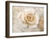 Vintage Rose 5-Jai Johnson-Framed Giclee Print