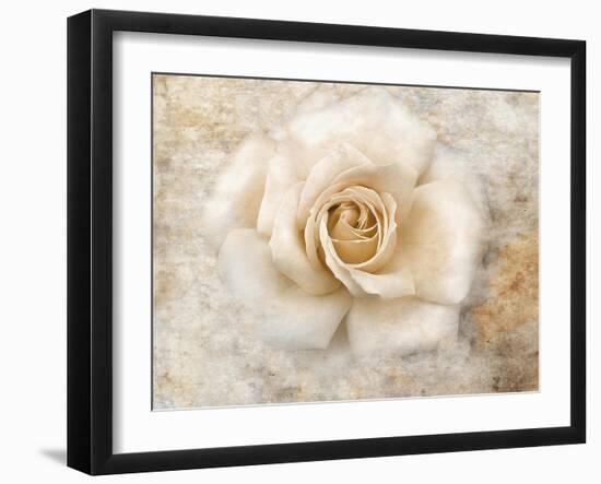 Vintage Rose 5-Jai Johnson-Framed Giclee Print